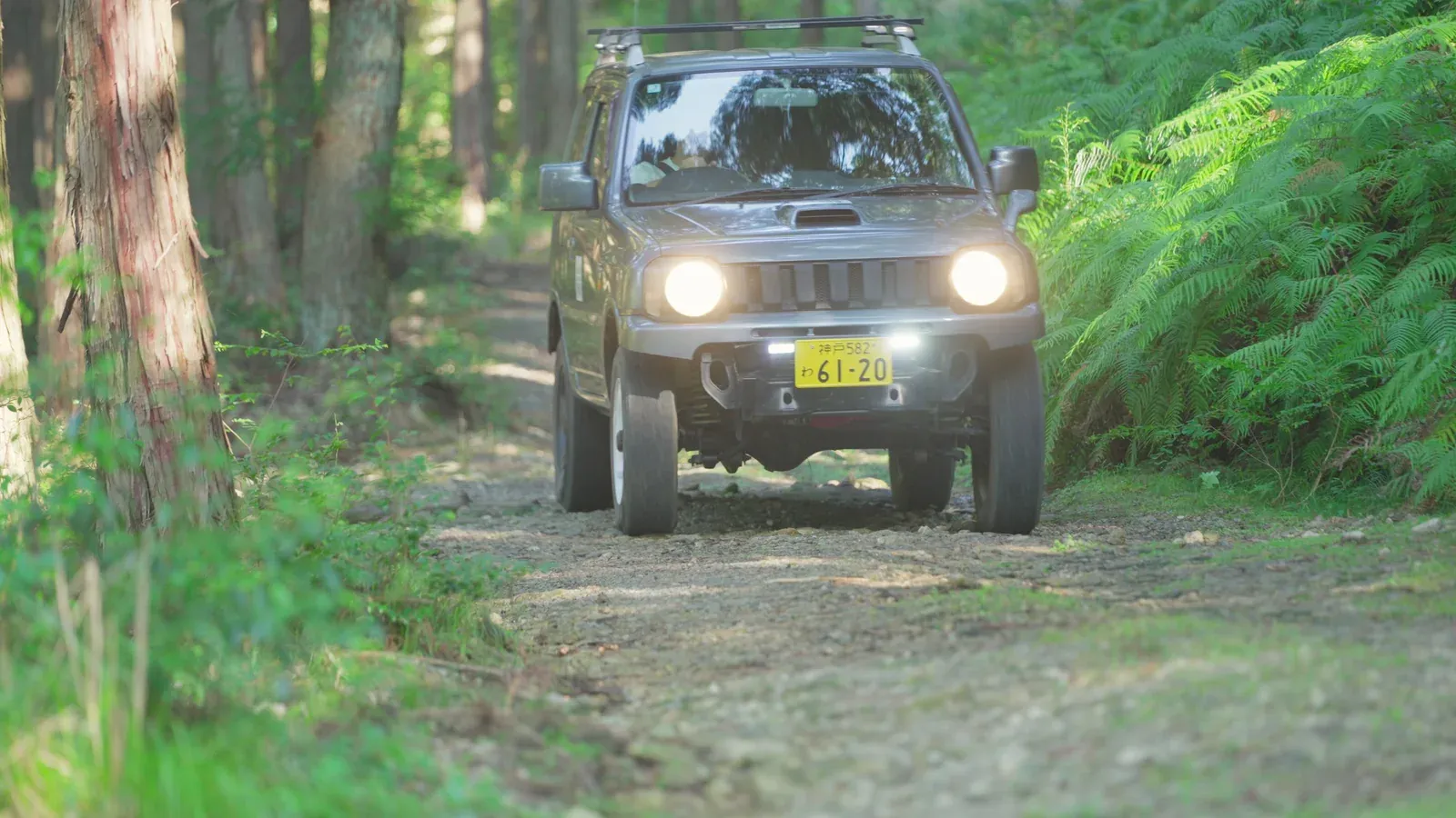 林道をこちらへ向かって走るジムニー