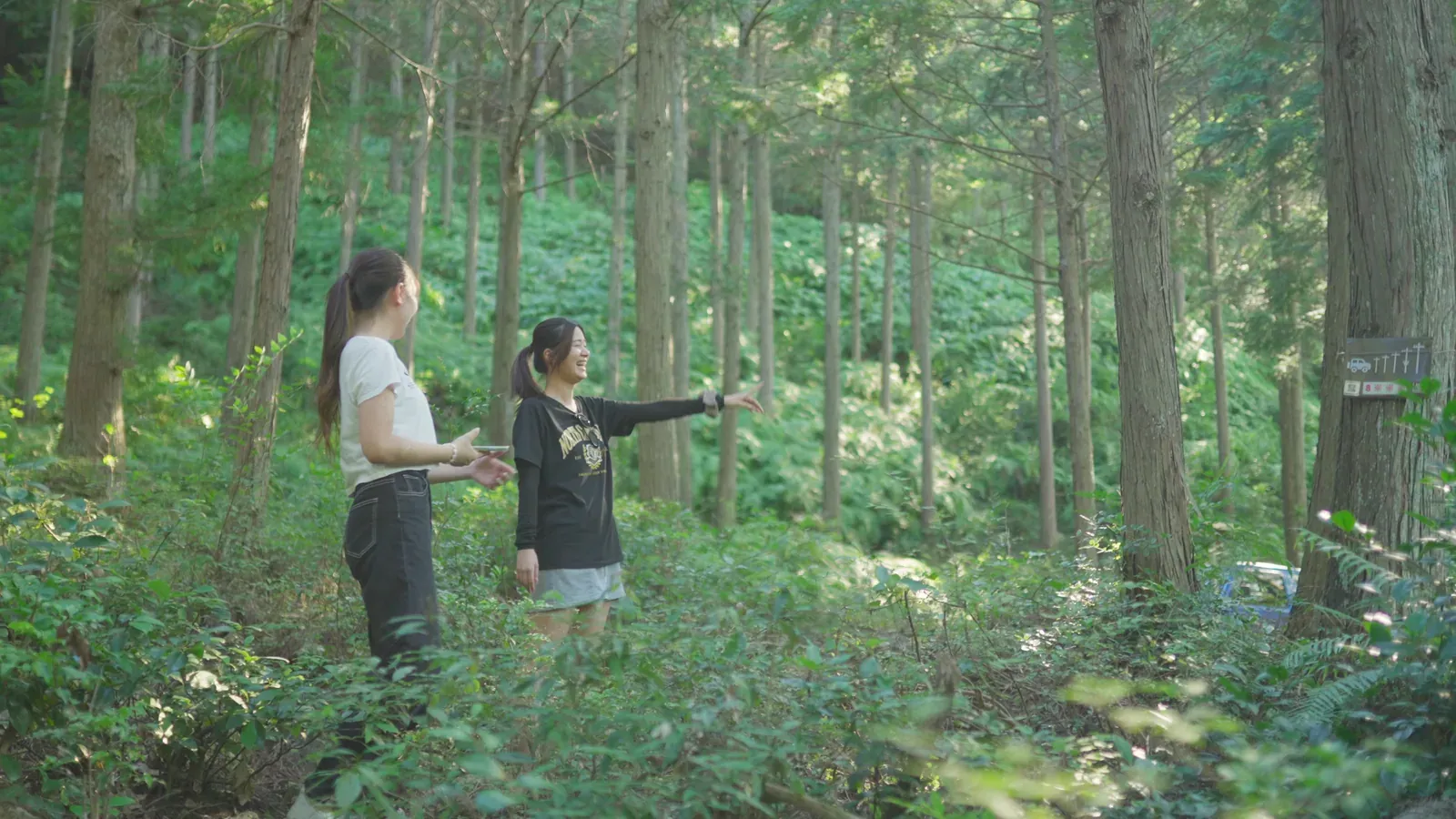 Two adventurers taking in the forest