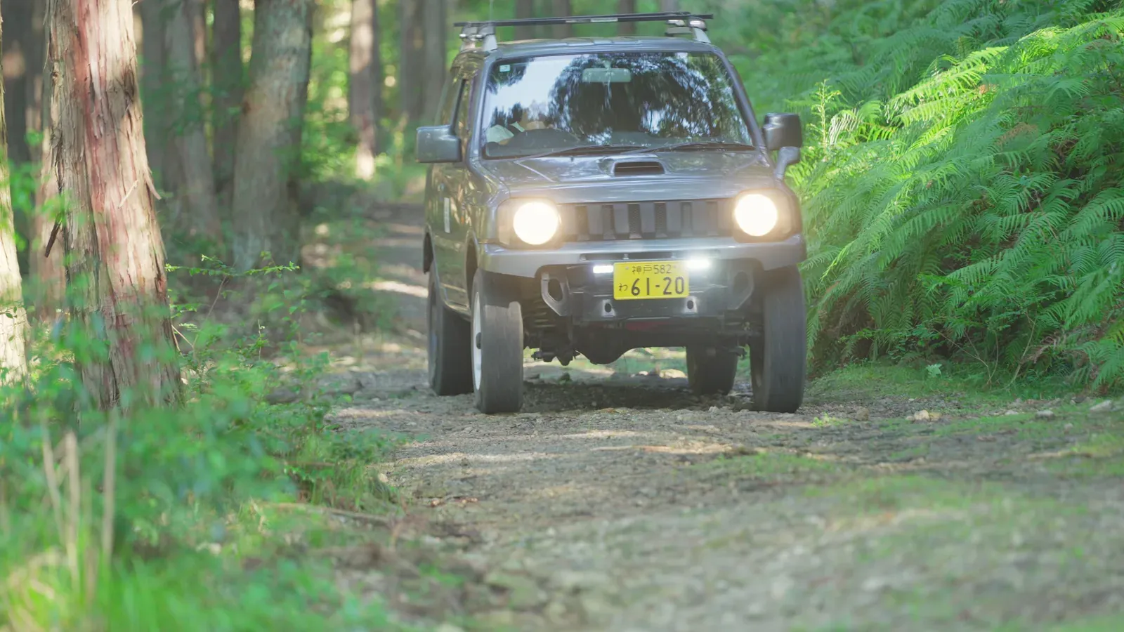 A Jimny coming down the forest track, headlights on