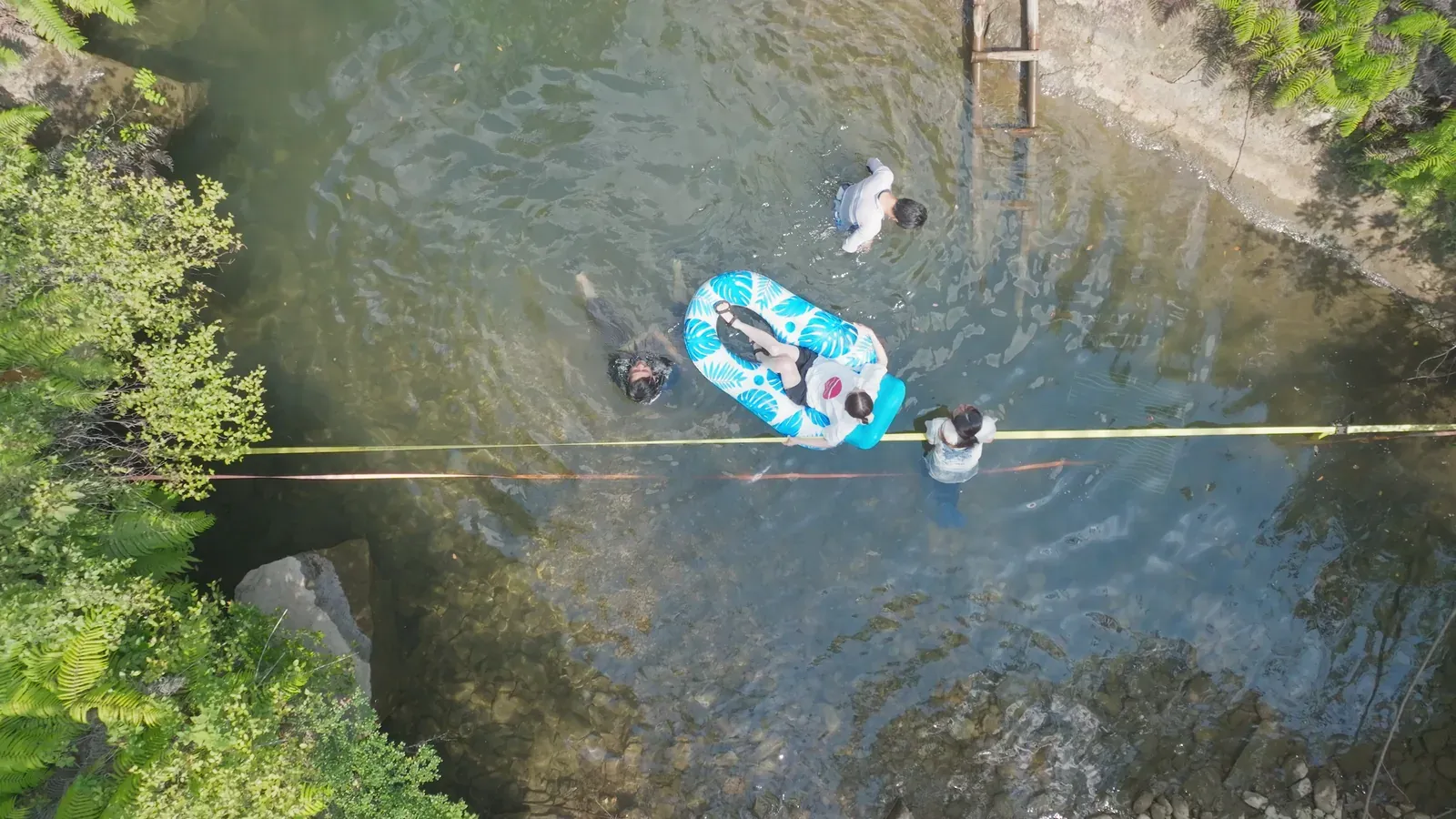 Floating in a river pool, seen from above